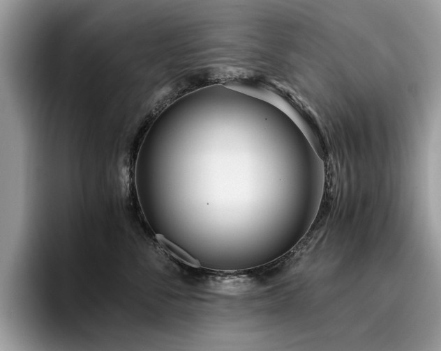 X0000096200716200801181341