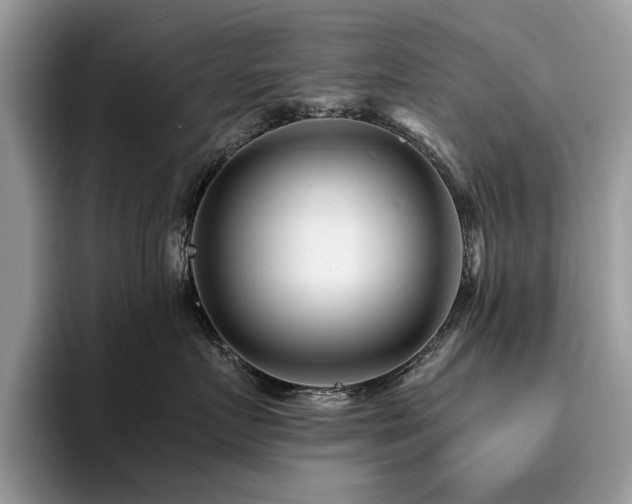 X0000096200719200801181341