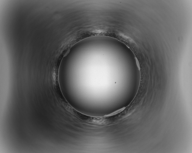 X0000096200720200801181341