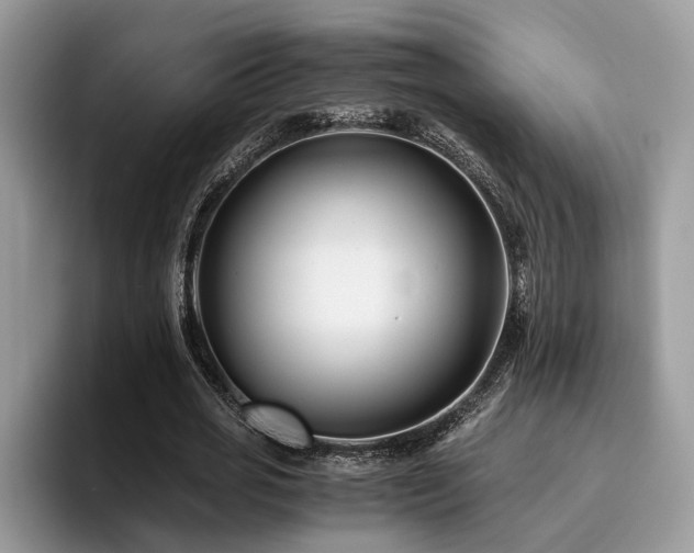 X0000096200725200801181340
