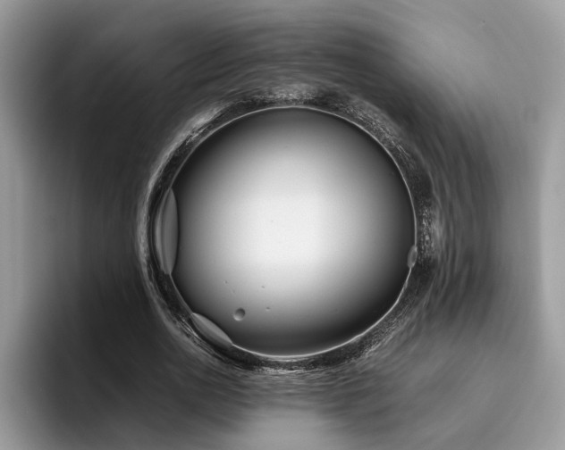X0000096200726200801181340