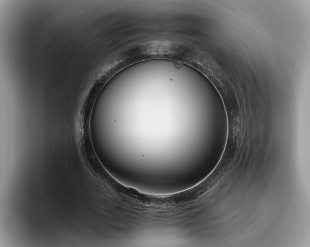 X0000096200727200801181340