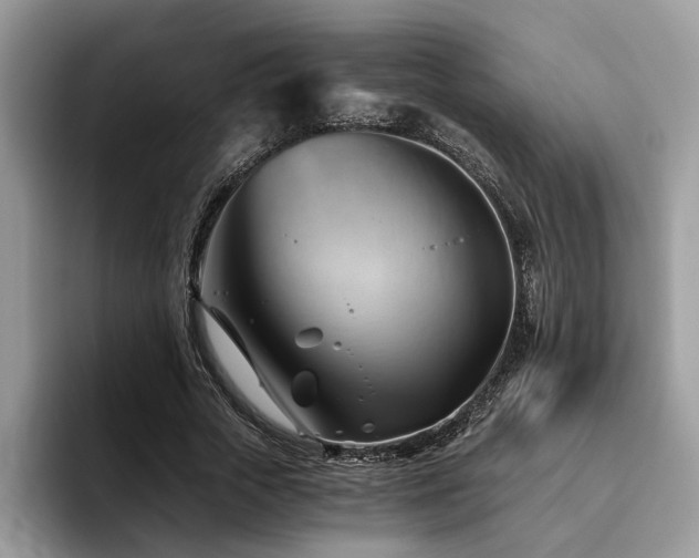 X0000096200729200801181340