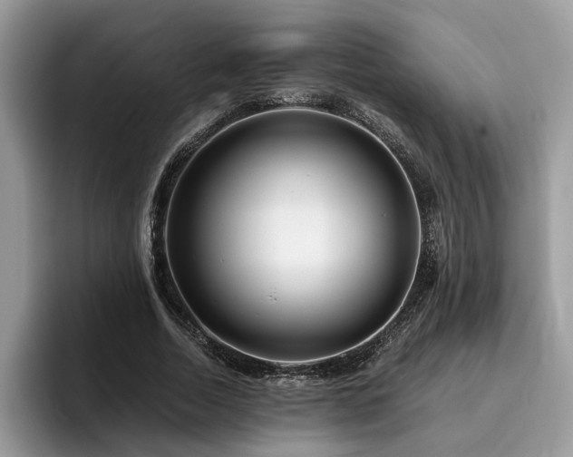 X0000096200730200801181340