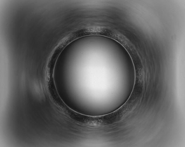 X0000096200731200801181340
