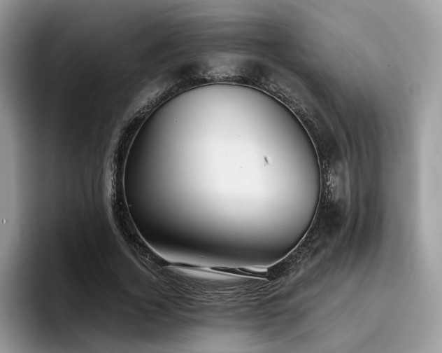 X0000096200732200801181340
