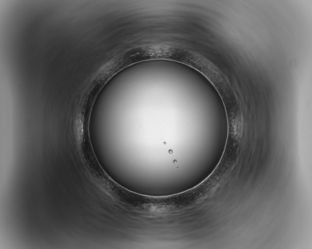 X0000096200733200801181340