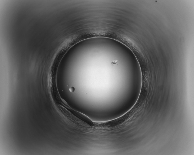 X0000096200734200801181340