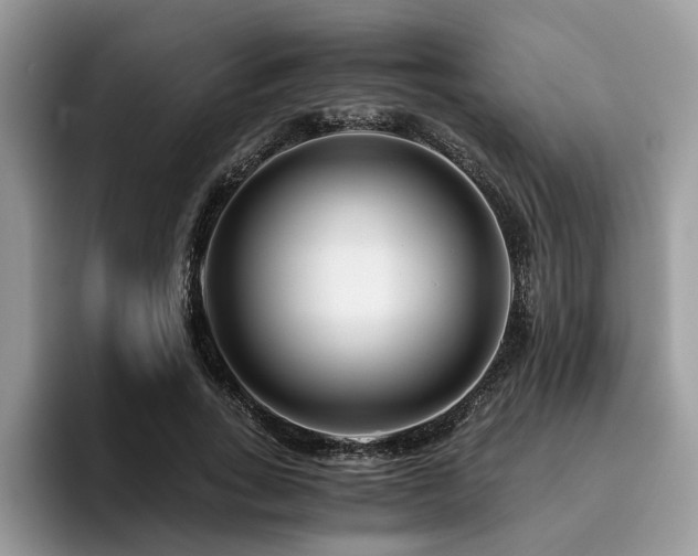 X0000096200735200801181340