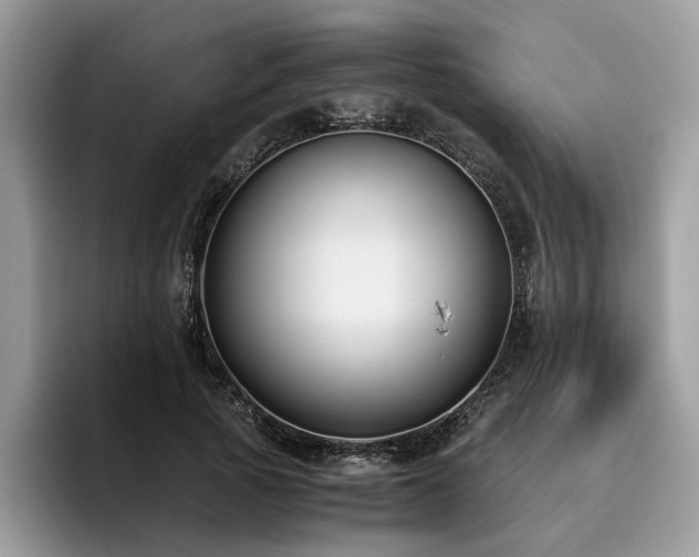 X0000096200737200801181340