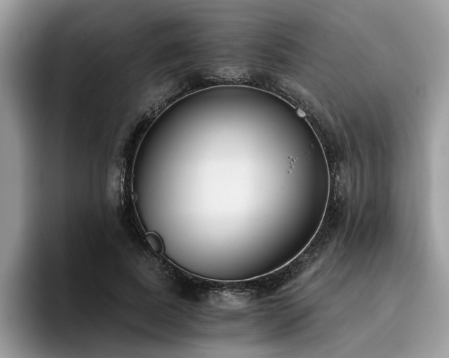 X0000096200739200801181340