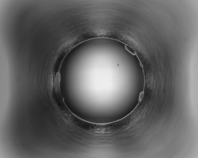 X0000096200740200801181340