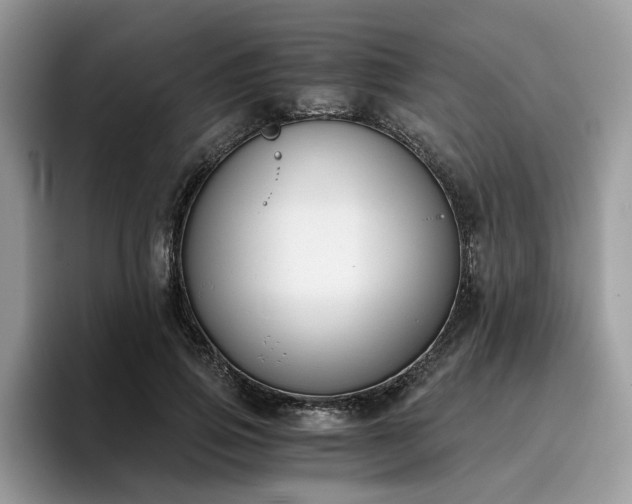 X0000096200741200801181340