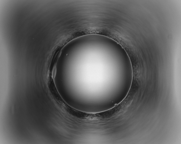 X0000096200742200801181340