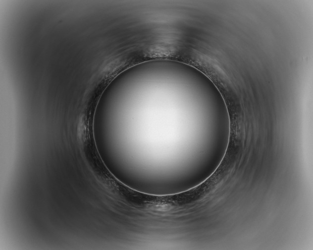 X0000096200743200801181340