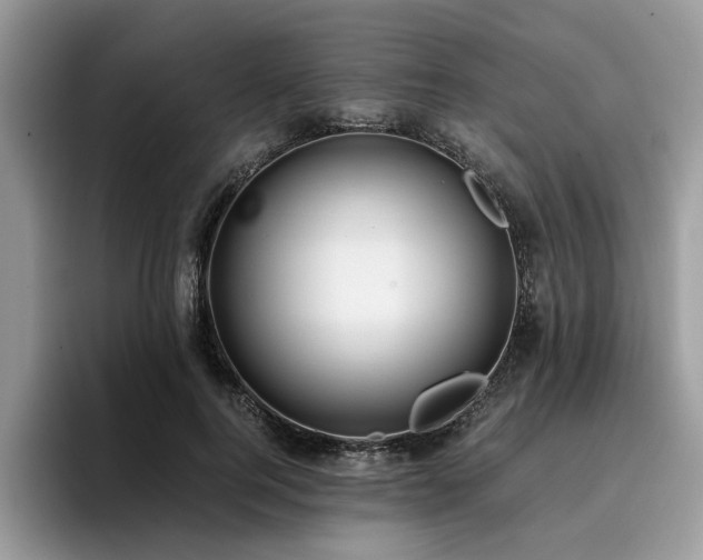 X0000096200744200801181340