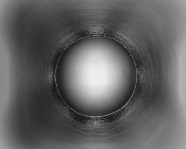 X0000096200745200801181340