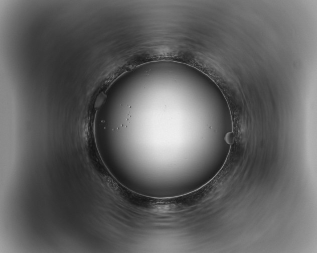 X0000096200746200801181340