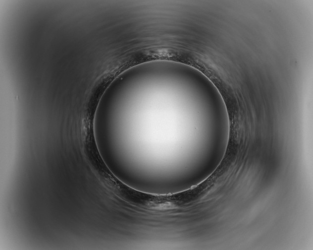X0000096200747200801181340