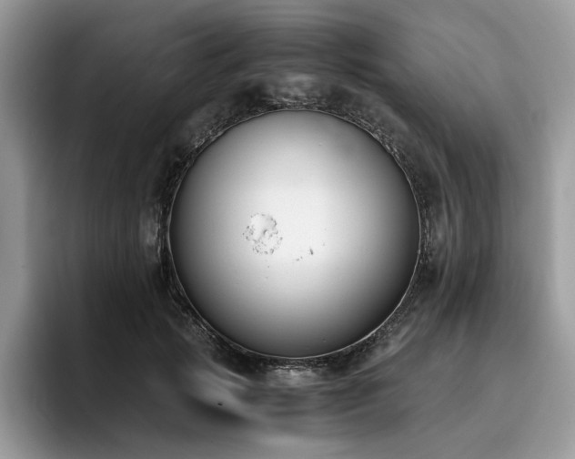 X0000096200749200801181341