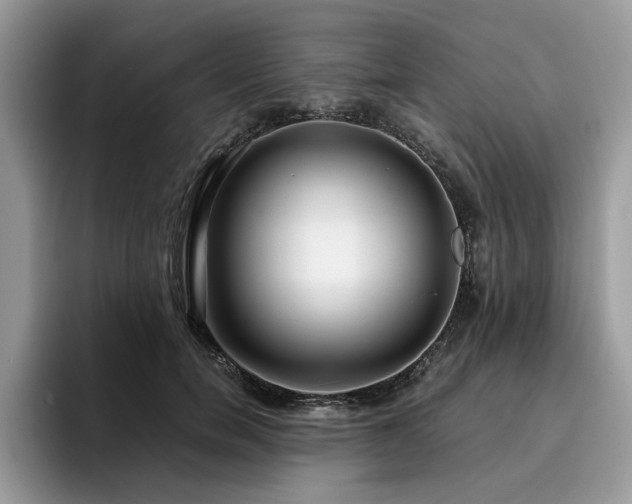 X0000096200750200801181341