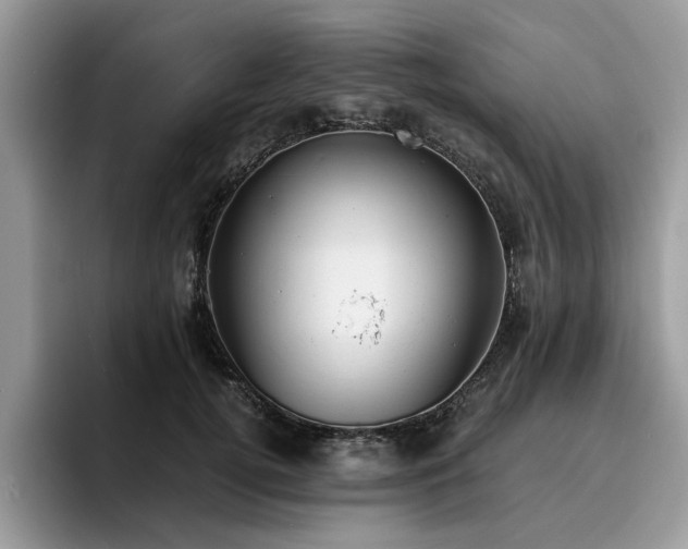 X0000096200752200801181341