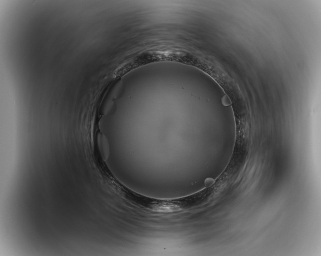 X0000096200754200801181341