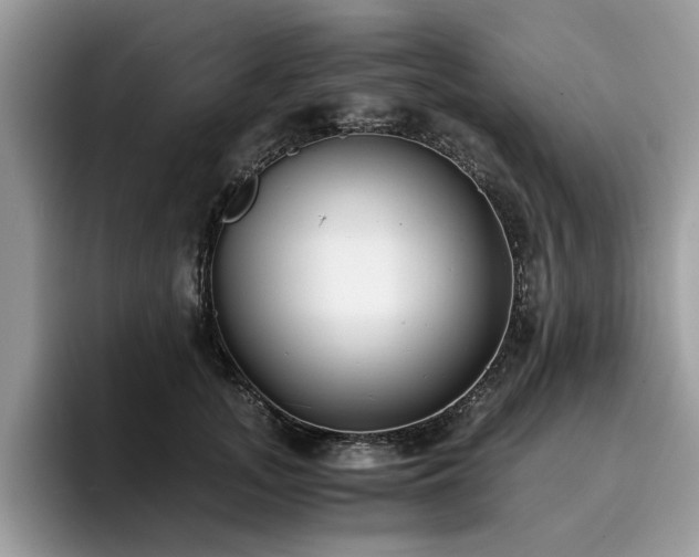 X0000096200755200801181341