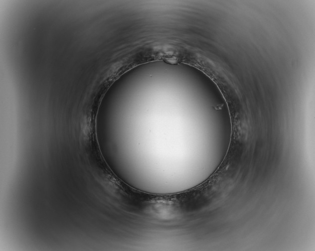 X0000096200756200801181341