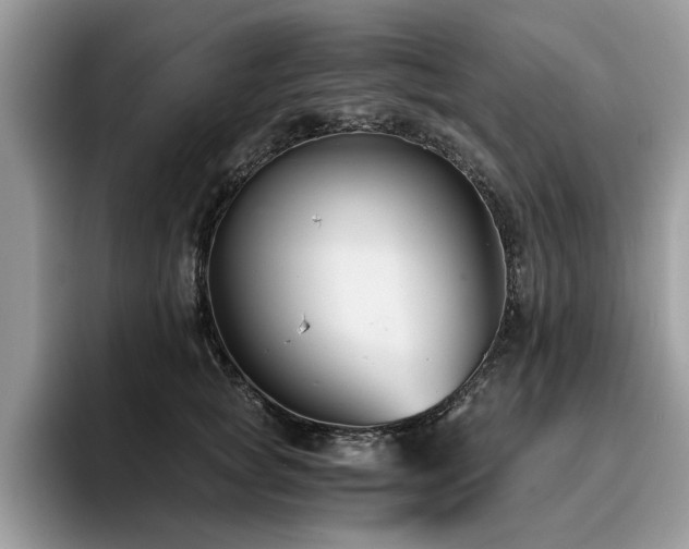 X0000096200757200801181341