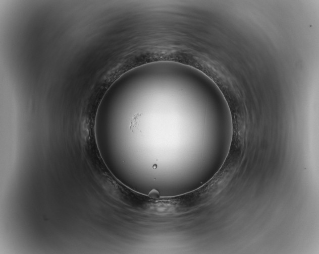 X0000096200758200801181341