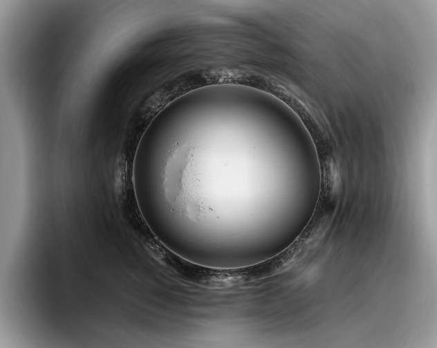 X0000096200760200801181341