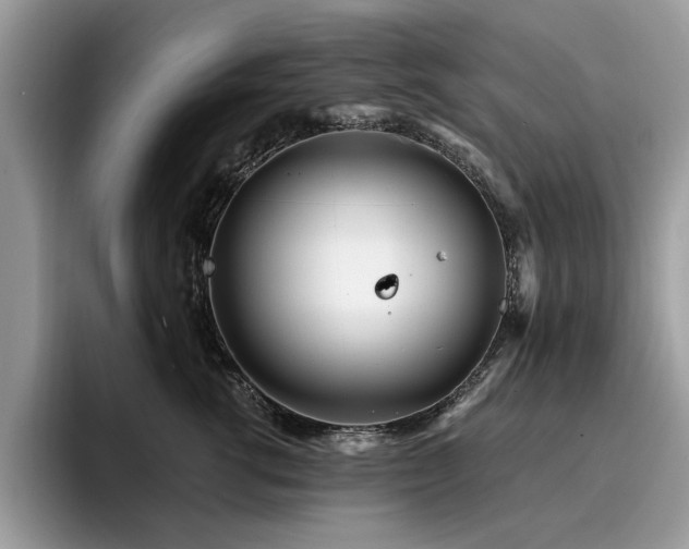 X0000096200762200801181341