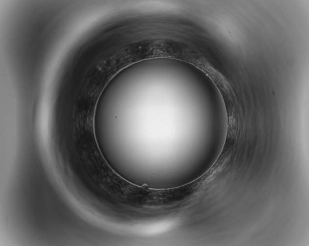 X0000096200765200801181341