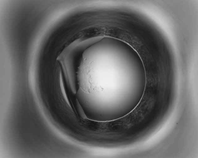 X0000096200766200801181341