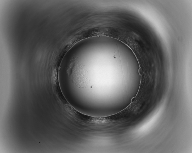 X0000096200767200801181341