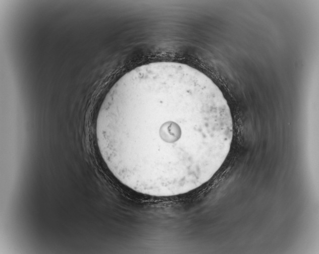 X0000096200769200801181340