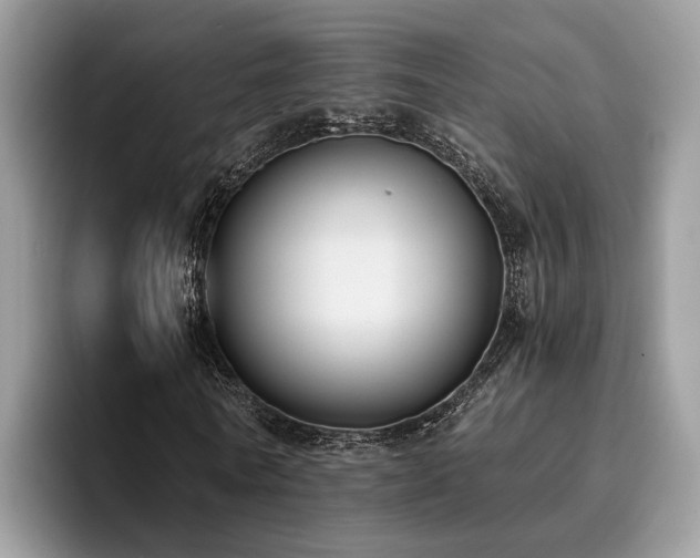 X0000096200770200801181340