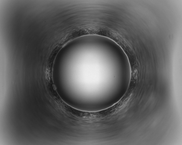 X0000096200772200801181340