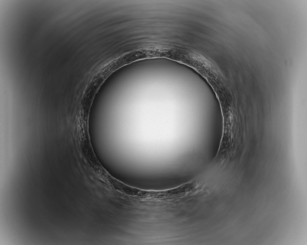 X0000096200773200801181340