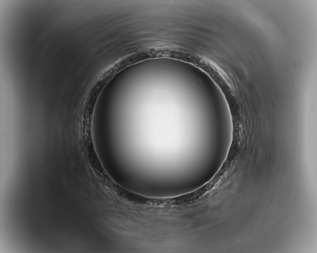 X0000096200775200801181340