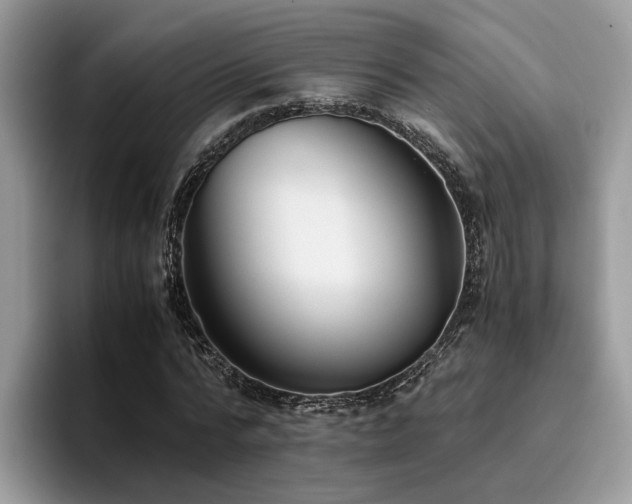 X0000096200776200801181340