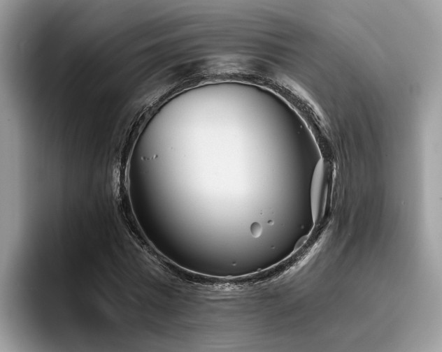 X0000096200777200801181340