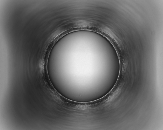 X0000096200778200801181340