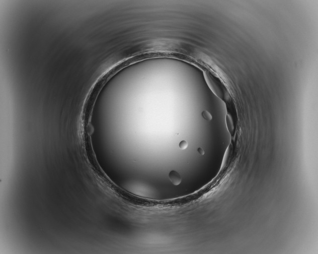 X0000096200779200801181340