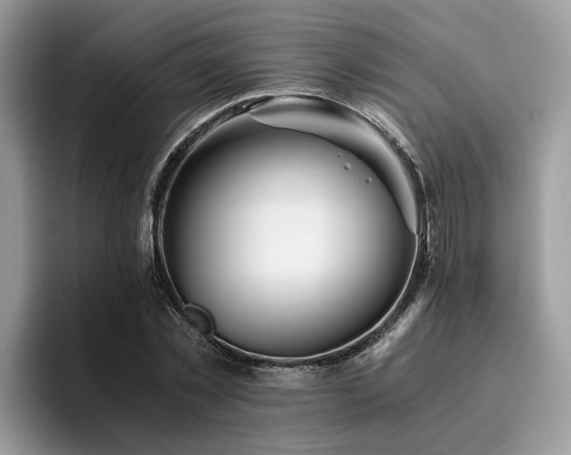 X0000096200781200801181340
