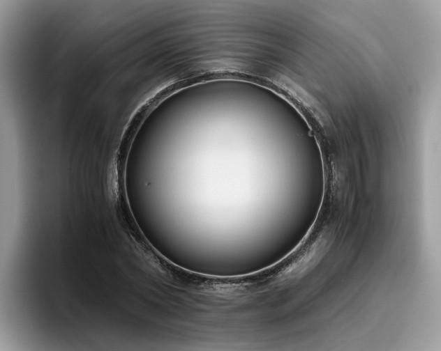 X0000096200782200801181340