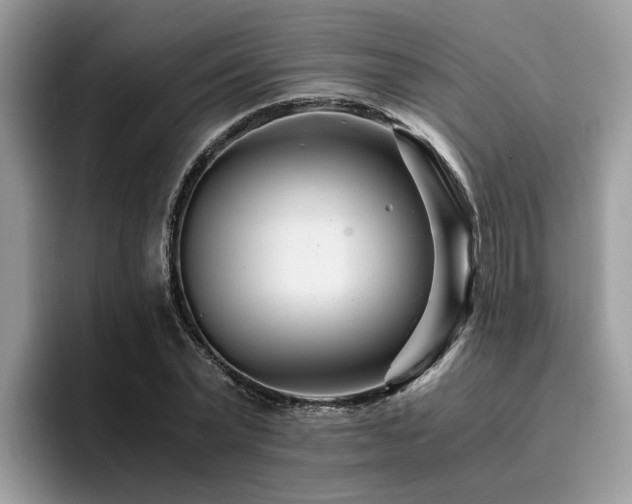 X0000096200783200801181340