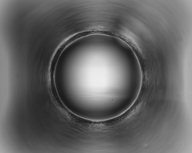 X0000096200784200801181340