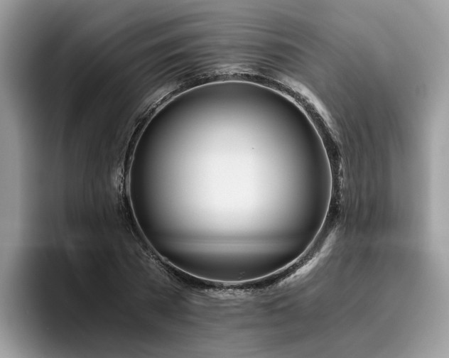 X0000096200785200801181340